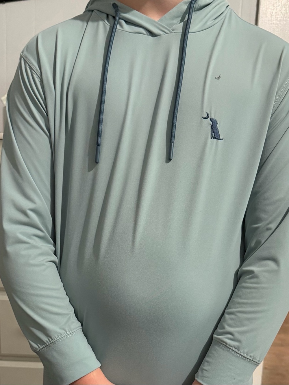 Local Boy Outfitters Hoodie - Light Seafoam